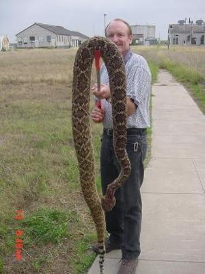 Texas Snake!
